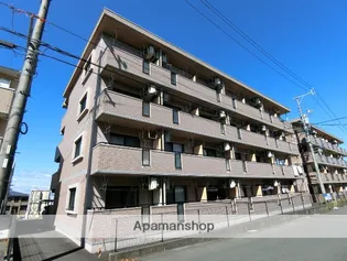 ブライトタイム Iの画像