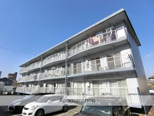 サンメモリーⅡの画像