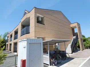 アイリスの画像