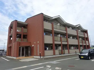 プラシードBの画像