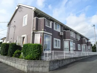 ペルペートの画像