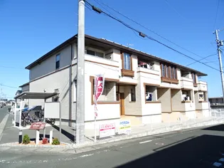 コッティMの画像