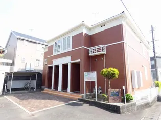 ボニート シエロの画像