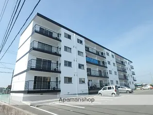 サンライズ7の画像