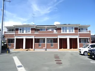 プリムローズの画像