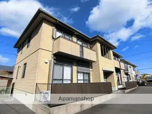 アプリコットAの画像