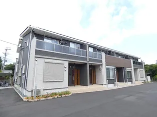 カメリアIIの画像