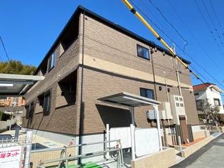 サンフラワーの画像