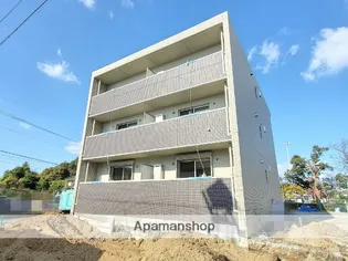 カリスリーブラの画像