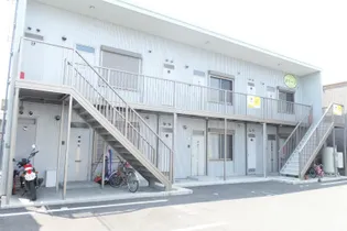 オリーブの画像