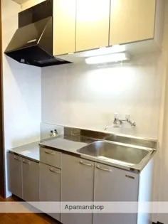 PLEIADESⅡ【4階】の内装