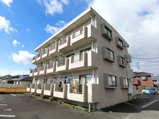 スカイロイヤル12の画像