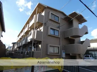 ソフィーの画像