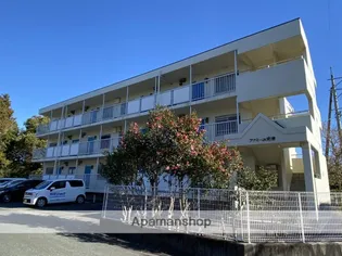 ファミーユ安座の画像