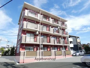 グレイス ベルの画像