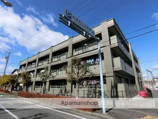 グライス武藤の画像