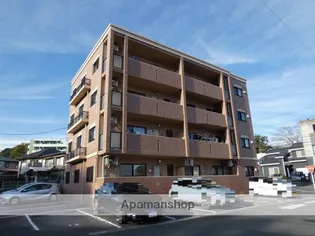 サニースポットの画像