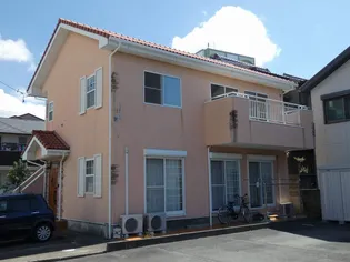 ハニーメイプルの画像