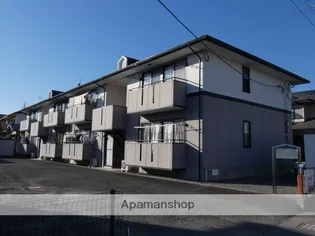 レディーバードの画像