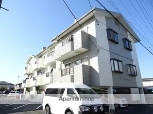 セントポーリアダイニの画像