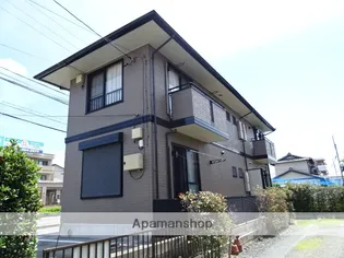 カモミールの画像