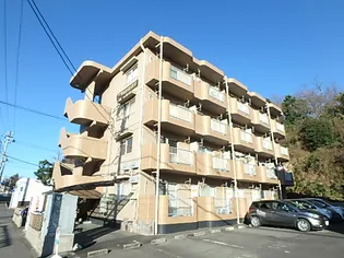 MANSION DIANAの画像