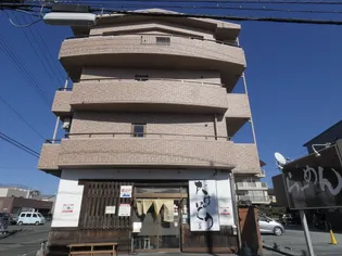 オリーブの画像