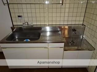 ぱーくたうんルナⅡ【3階】のキッチン