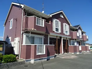 ひまわり2の画像