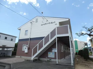 ニューシティマーガレットの画像