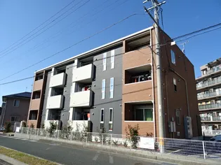 ラッフィナートIIの画像