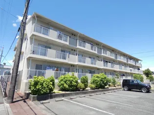 プロムナードMの画像