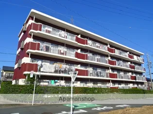 ベルジェームの画像