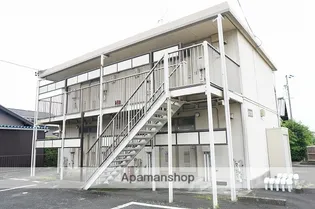 アスターAの画像