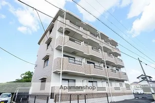 サンデリアーナムーンの画像