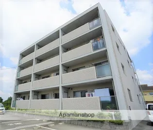 エバーグリーンの画像