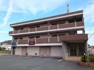 サンバーストMの画像