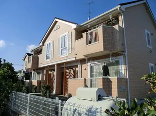 クレメントBの画像