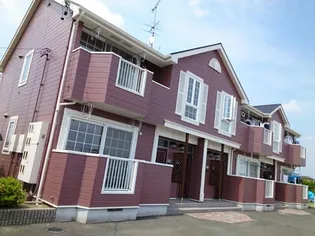 ひまわり2の画像