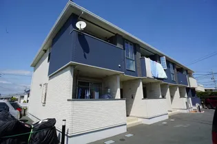 ヴィタ ノーヴァの画像