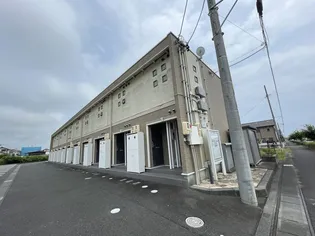 レオネクストスイートピーの画像