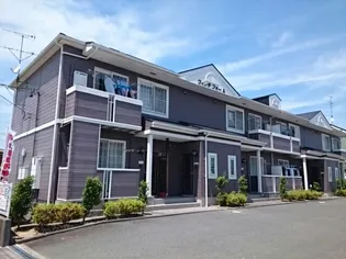 ヴィレヂフォーAの画像