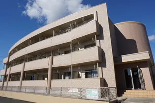 フェアリーヒルズ ヒビキの画像