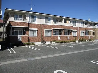 ブロード センBの画像