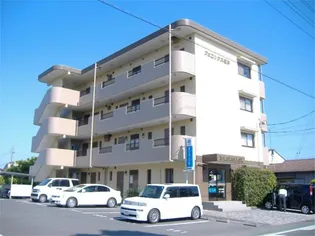 フェニックス竜洋(1DK)【2階】の外観