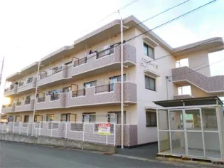 パストラーレIIIの画像