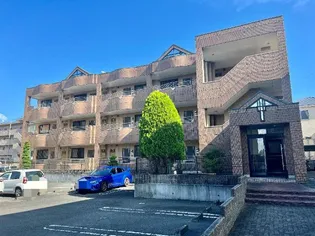 ルナ エスペランサIの画像