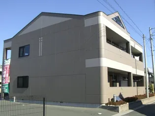 オリーブの画像