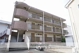 M ウィルの画像