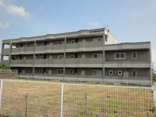 マーブルパレスIIの画像